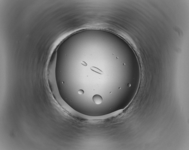 X0000113021344200908271425