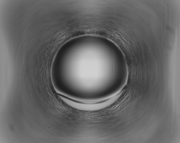 X0000113021345200908271425