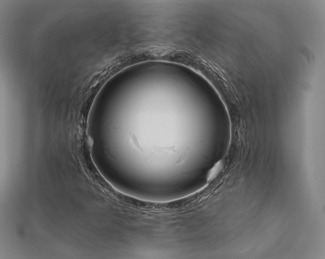 X0000113021349200908271425