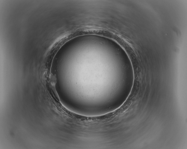 X0000113021351200908271425