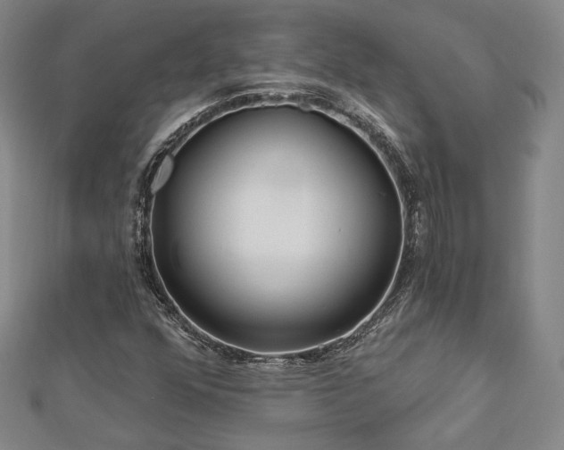 X0000113021352200908271425