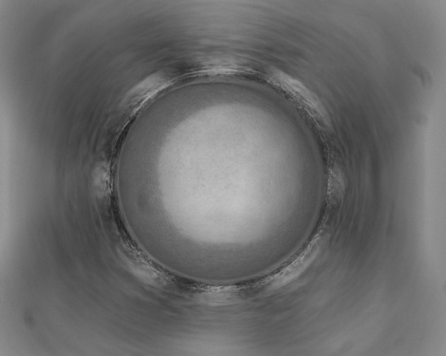X0000113021353200908271425