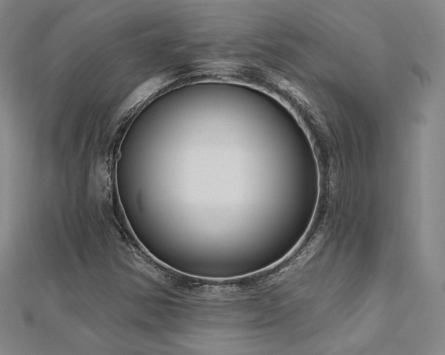 X0000113021354200908271425