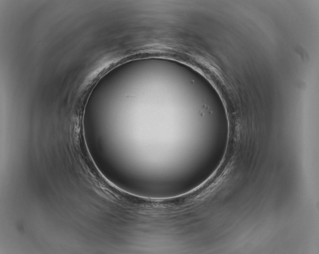 X0000113021355200908271425