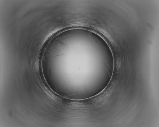 X0000113021356200908271425