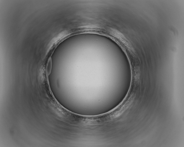 X0000113021357200908271425