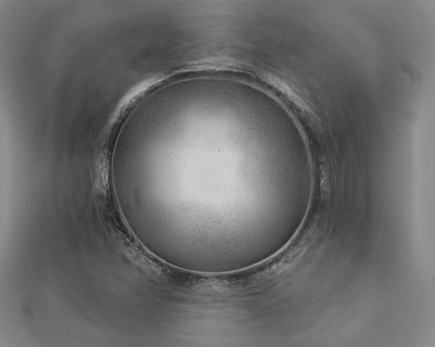 X0000113021358200908271425