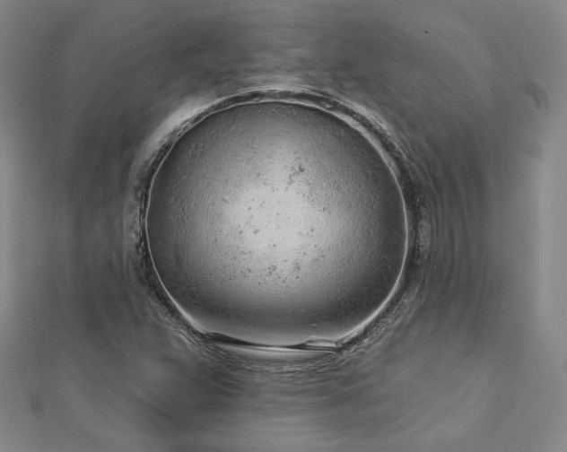 X0000113021359200908271425