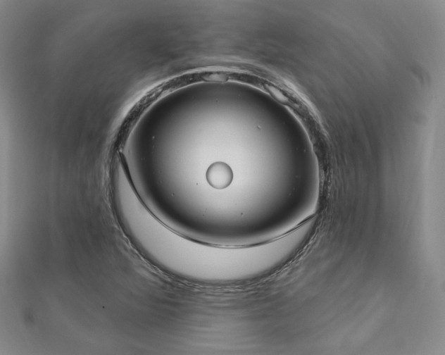 X0000113021360200908271425
