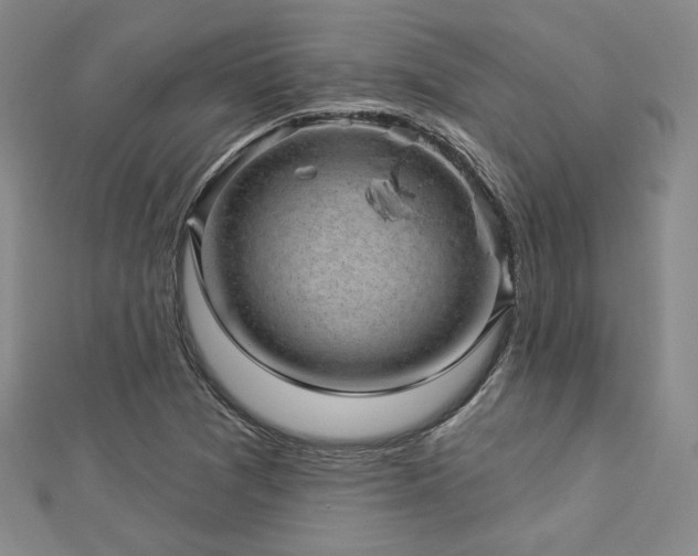 X0000113021361200908271425
