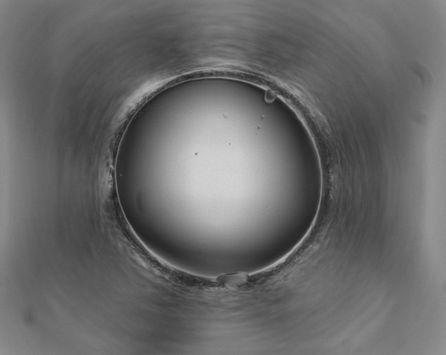 X0000113021363200908271425