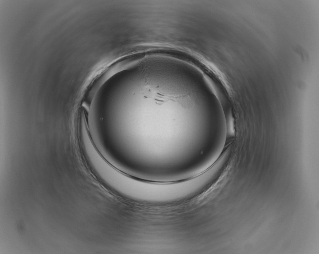 X0000113021365200908271425