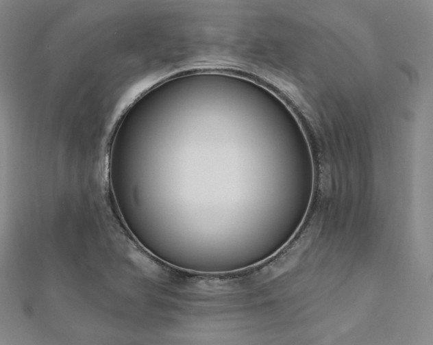 X0000113021366200908271425