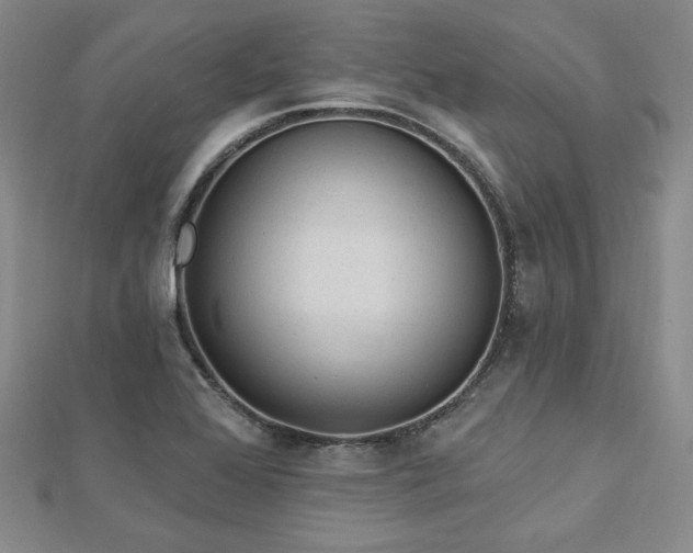 X0000113021368200908271424