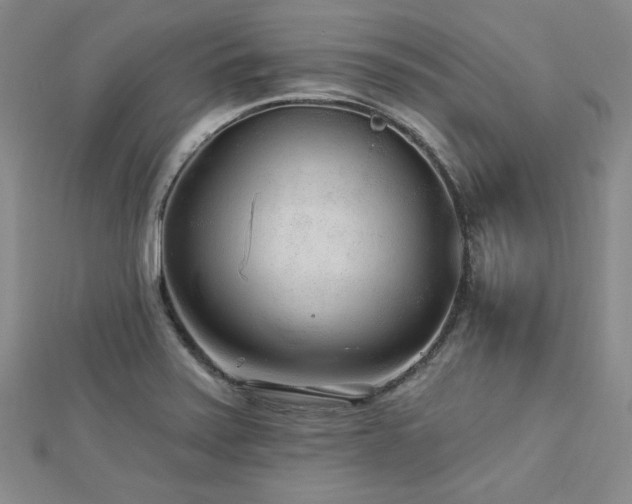 X0000113021371200908271424