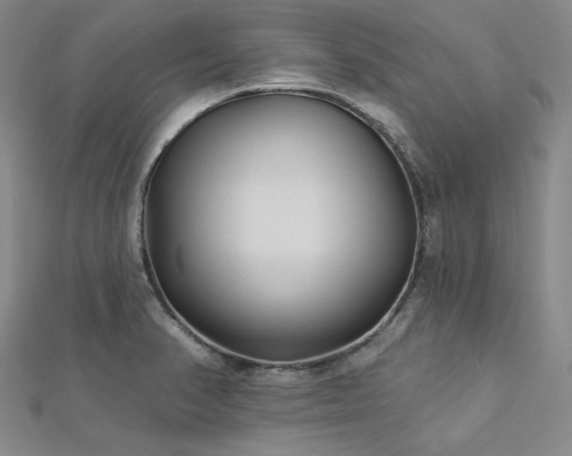 X0000113021374200908271424
