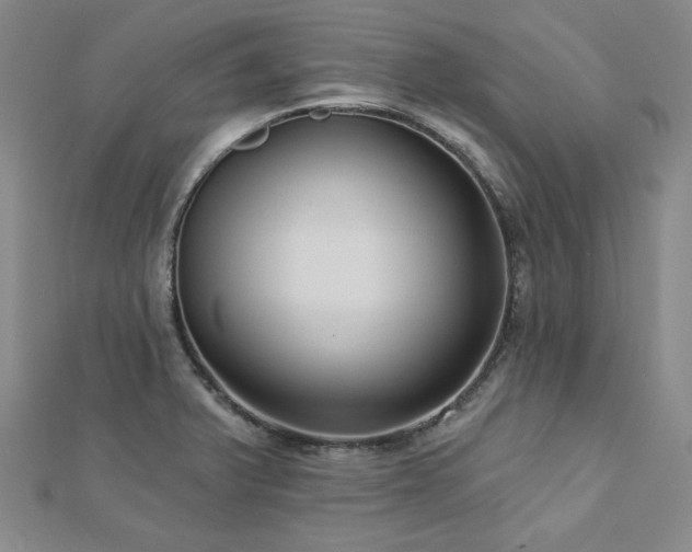 X0000113021375200908271424