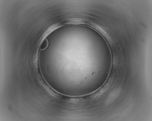 X0000113021378200908271424