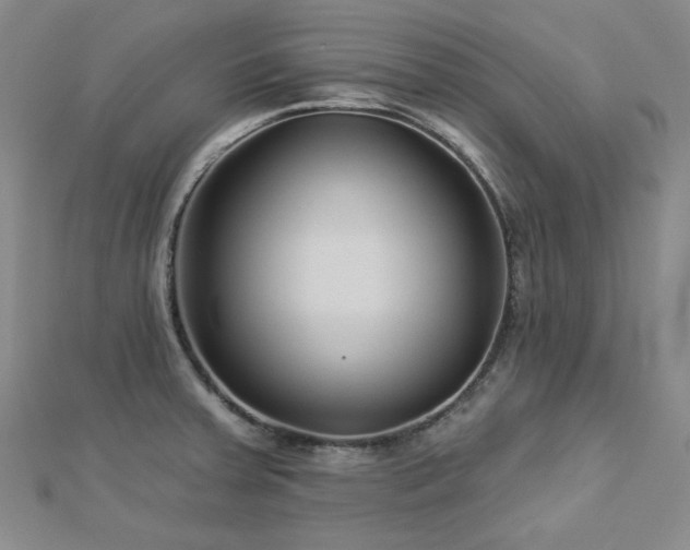 X0000113021379200908271424
