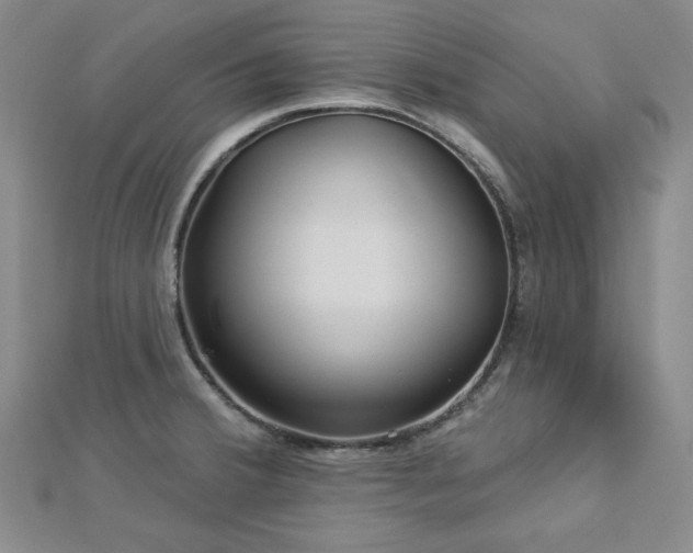 X0000113021380200908271424