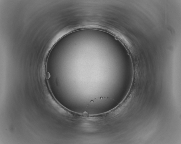 X0000113021382200908271424