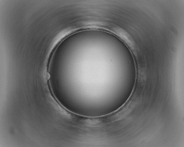 X0000113021384200908271424