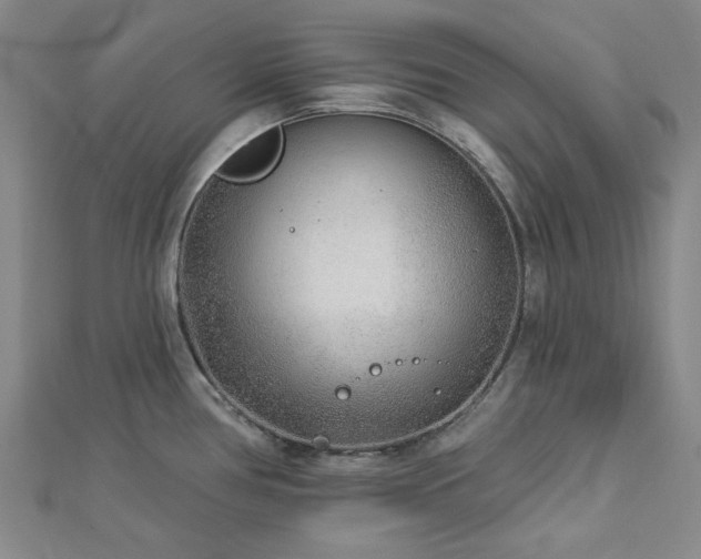 X0000113021386200908271424