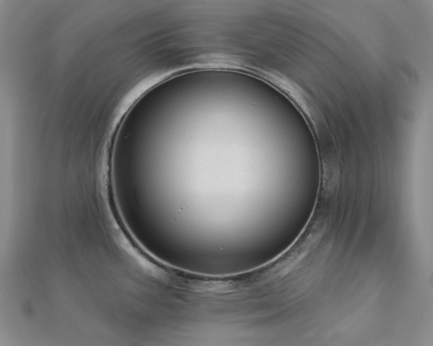 X0000113021387200908271424