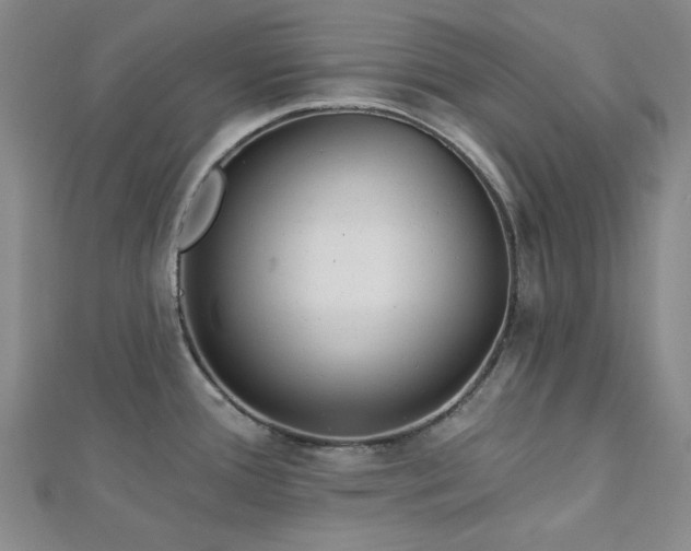 X0000113021388200908271424