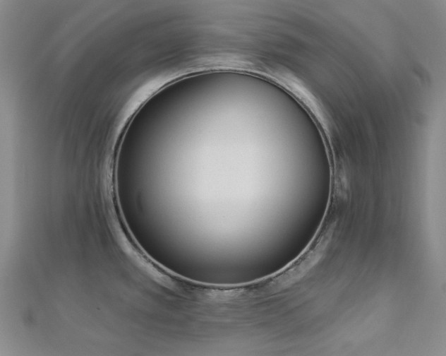 X0000113021389200908271424
