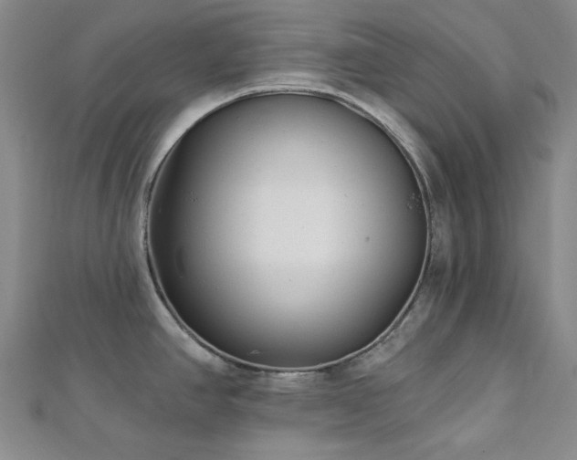 X0000113021390200908271424