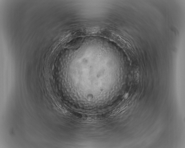X0000113021393200908271424