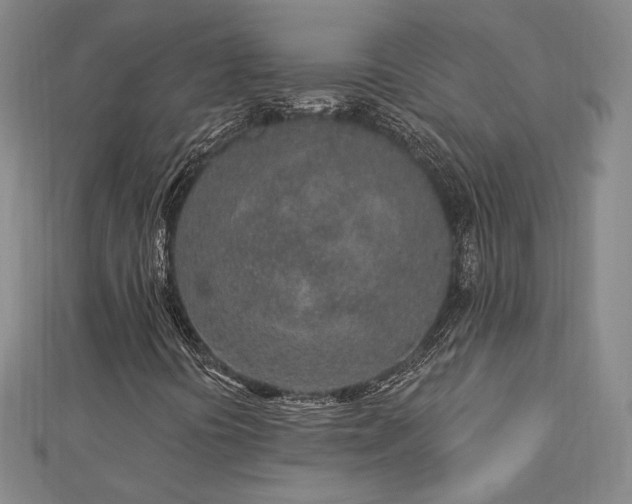 X0000113021394200908271424