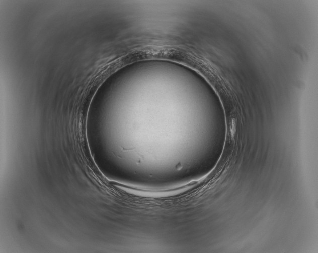 X0000113021396200908271424