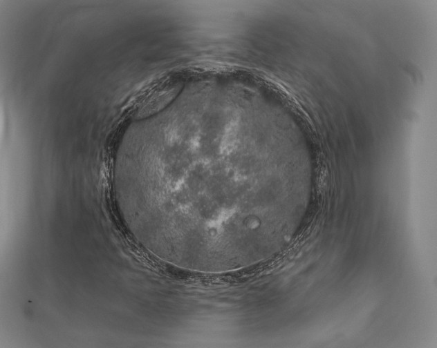 X0000113021397200908271424