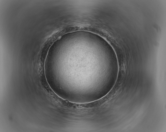 X0000113021398200908271424