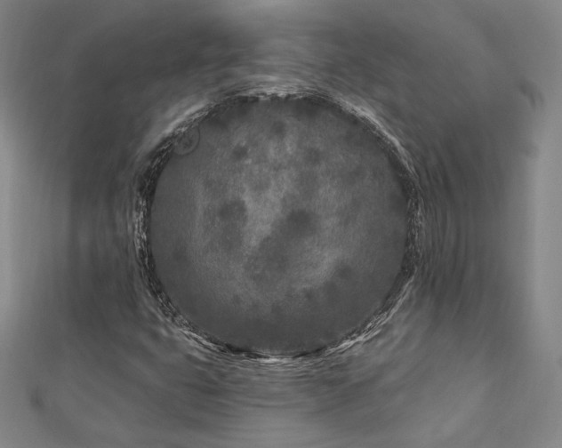 X0000113021399200908271424