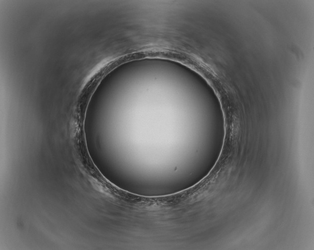 X0000113021400200908271424