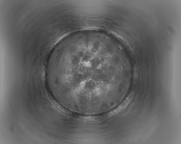 X0000113021401200908271424