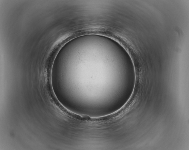 X0000113021402200908271424