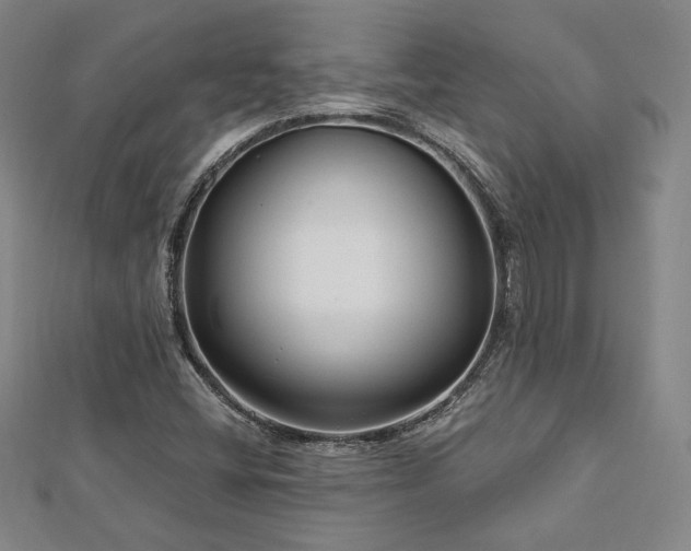 X0000113021404200908271424