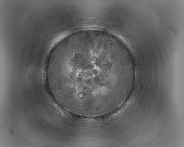 X0000113021405200908271424