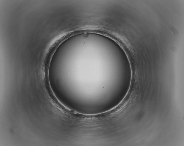 X0000113021406200908271424