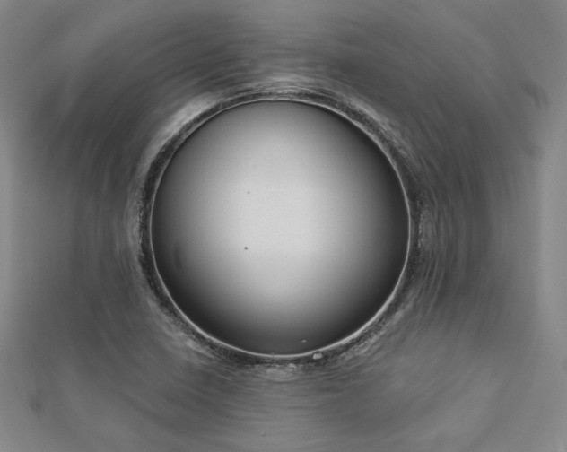 X0000113021410200908271424
