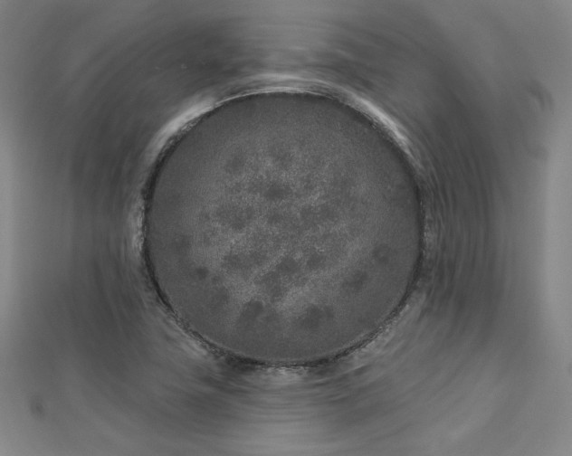 X0000113021411200908271424