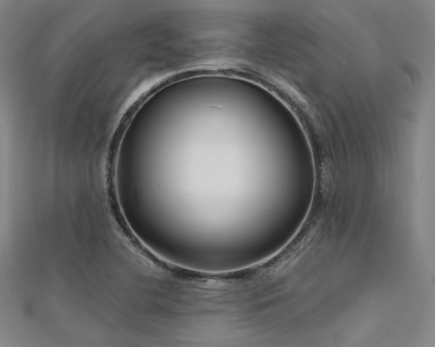 X0000113021412200908271424