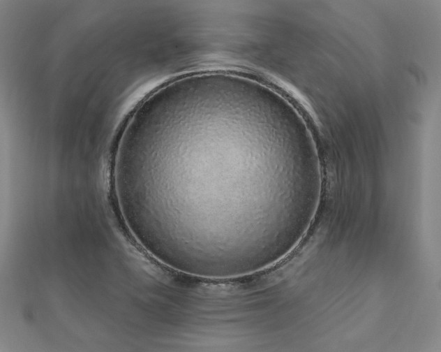 X0000113021415200908271424