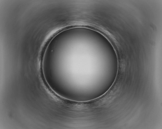 X0000113021416200908271424