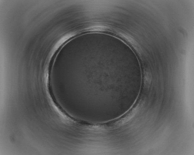X0000113021418200908271424
