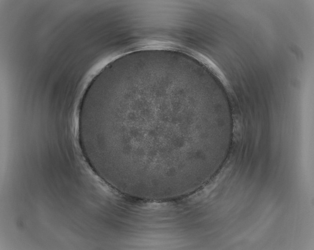 X0000113021419200908271424